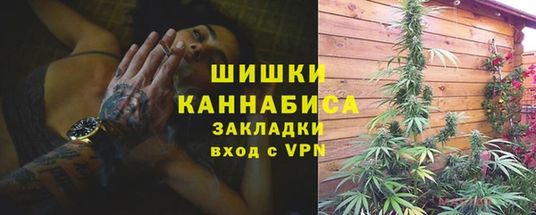 PSILOCYBIN Остров
