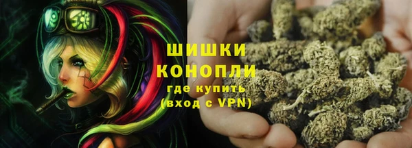 дмт Осинники